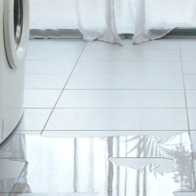 Appliance Leak Cleanup in Montebello, NY